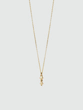 Load image into Gallery viewer, &#39;Neem&#39; Necklace
