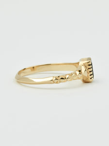 'Asha' Ring | Black Onyx