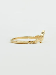 'Eta' Ring
